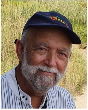 Professor Pedro Albertos